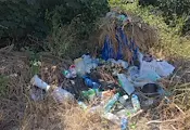 Бунища никнат край оградите на гробищен парк Чародейка Бунища никнат край оградите на гробищен парк Чародейка