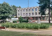 Борово посреща празника си с фолклорен фестивал Борово посреща празника си с фолклорен фестивал