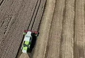 Русенски земеделци не могат да продадат реколтата си от пшеница Русенски земеделци не могат да продадат реколтата си от пшеница