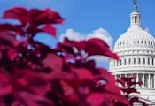 Сенатът отхвърли спиране на войната с Иран Сенатът отхвърли спиране на войната с Иран