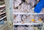 БАБХ унищожи 800 килограма опасни храни БАБХ унищожи 800 килограма опасни храни