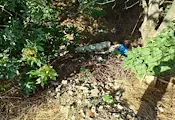 Пътят към стария плаж в Сандрово потъна в боклуци Пътят към стария плаж в Сандрово потъна в боклуци
