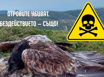 Русе се включва в протеста срещу отровите в природата Русе се включва в протеста срещу отровите в природата