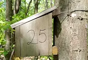РИОСВ - Русе провери 25 къщички за сънливци край Ветово РИОСВ - Русе провери 25 къщички за сънливци край Ветово