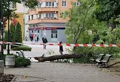 Ураганен вятър затвори училищата в Сливен Ураганен вятър затвори училищата в Сливен
