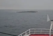 Български моряци спасиха девет души от поразения кораб край Констанца Български моряци спасиха девет души от поразения кораб край Констанца