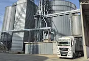 Добивите от царевица в Русенско скочиха с 60% Добивите от царевица в Русенско скочиха с 60%